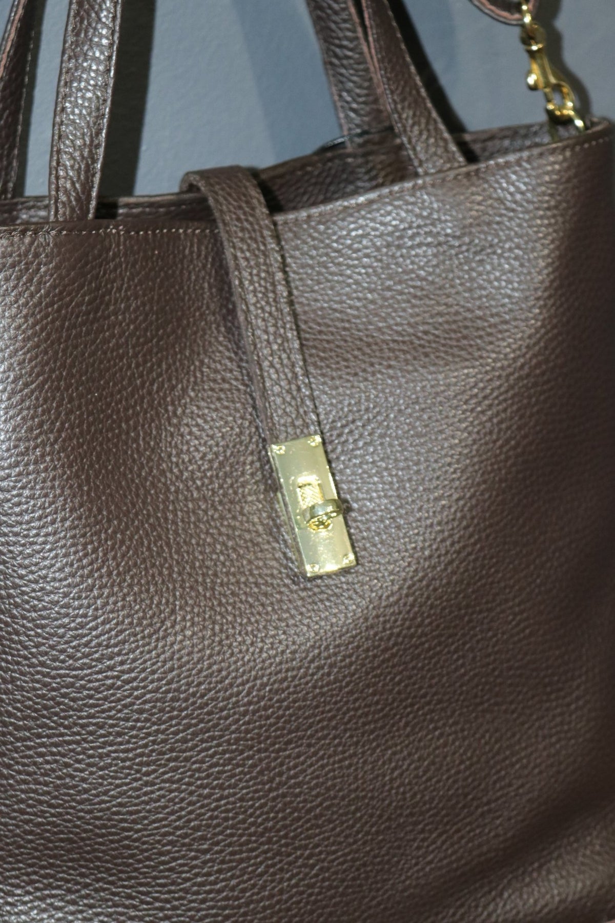 SIENNA Taupe - Carla Mancini Handbags